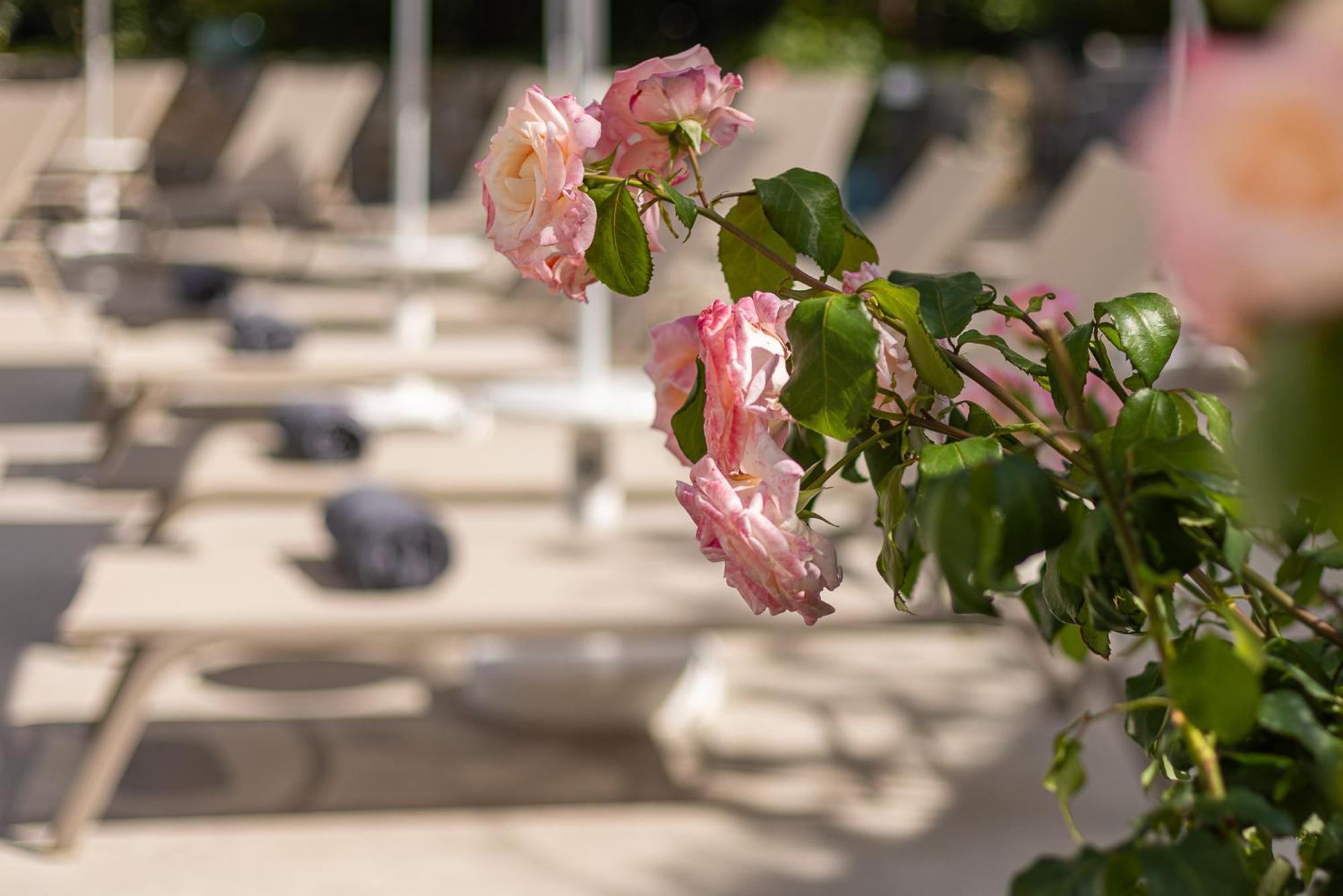 Hotel Villa Elisa & Spa Bordighera Exterior foto